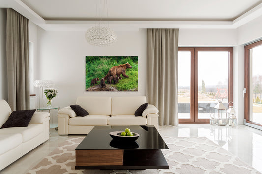 Modern living room with a large photograph on the wall displaying bears, white sofa, and coffee table.
