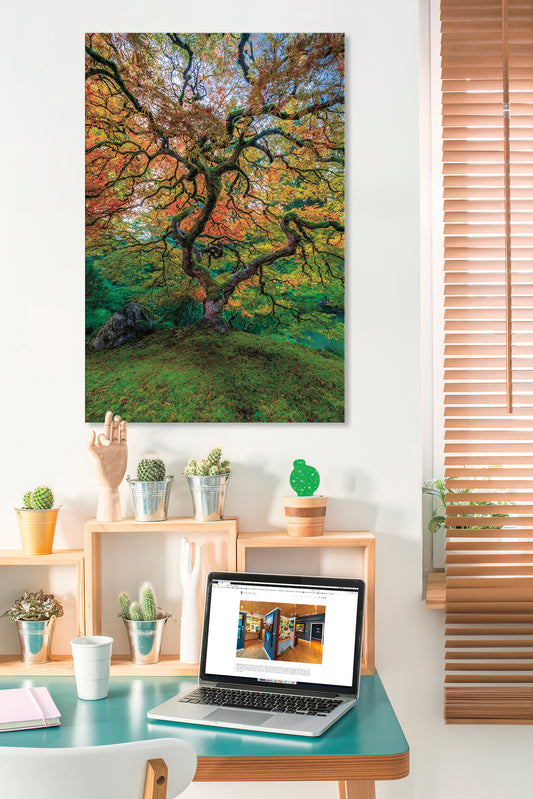 Laptop on a desk with a scenic wall art print of a tree in a forest.