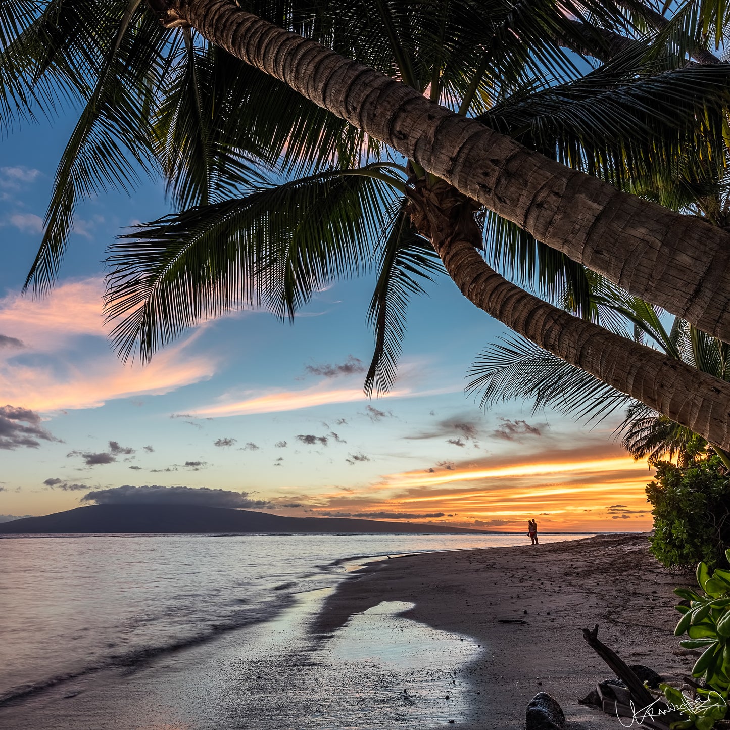 Palm tree on a beach with a sunset over water and mountains in the background