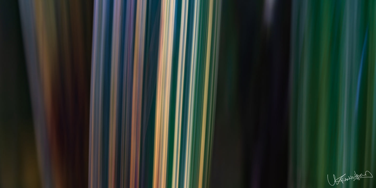 Close-up of bamboo with multicolored stripes on a dark background