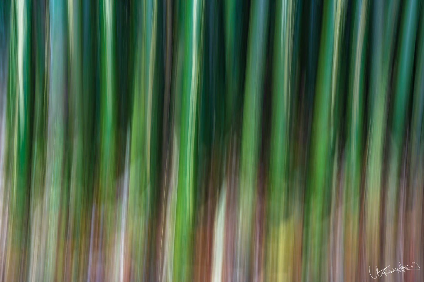 Abstract blurred image of green and brown vertical lines