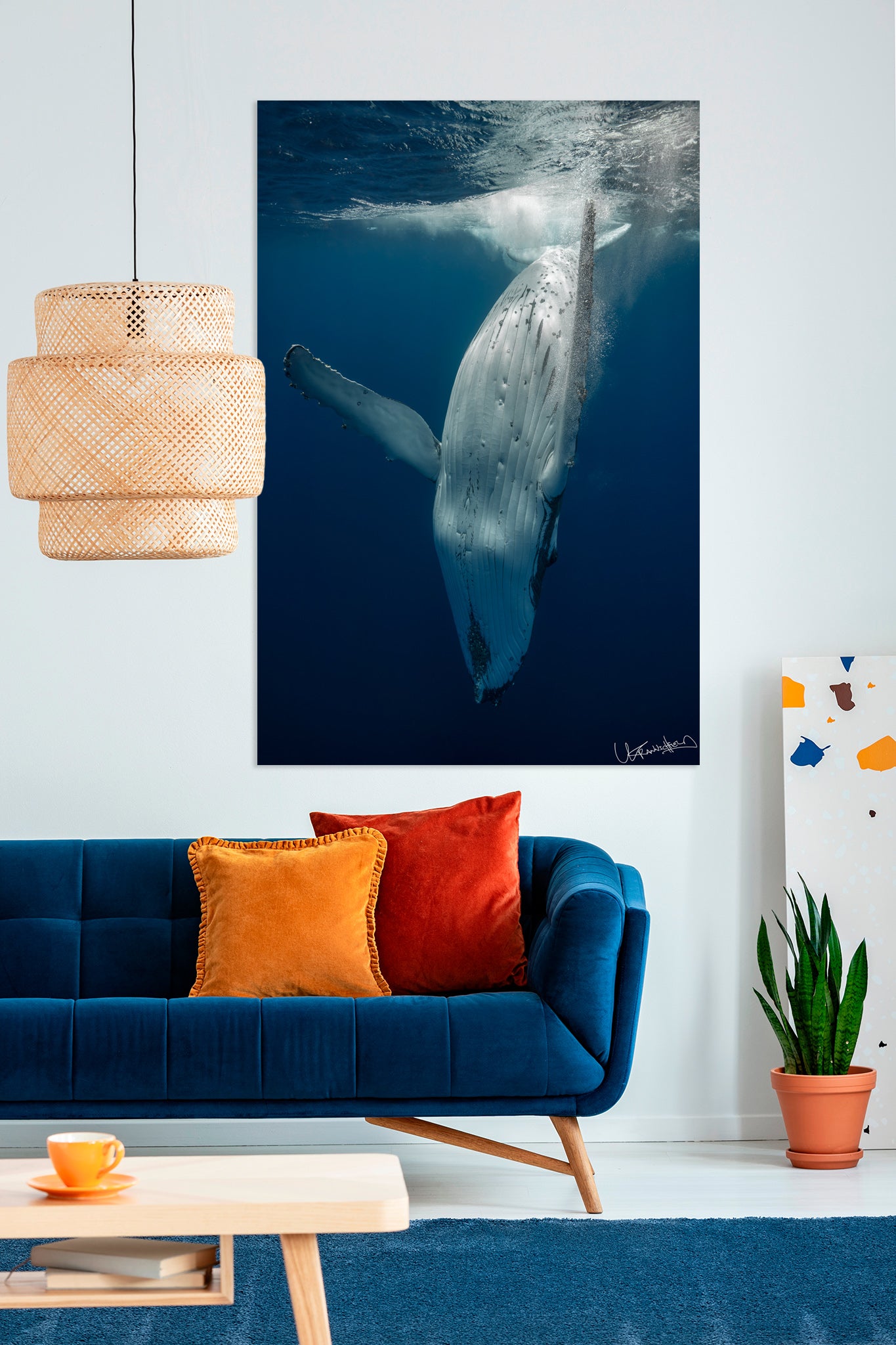 Living room with a whale photo on the wall above a blue sofa with colorful cushions.