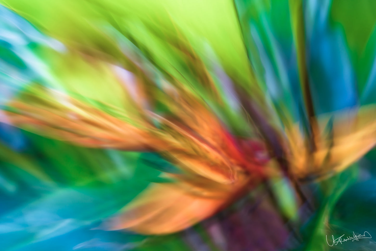 Abstract colorful plant with blurred effect