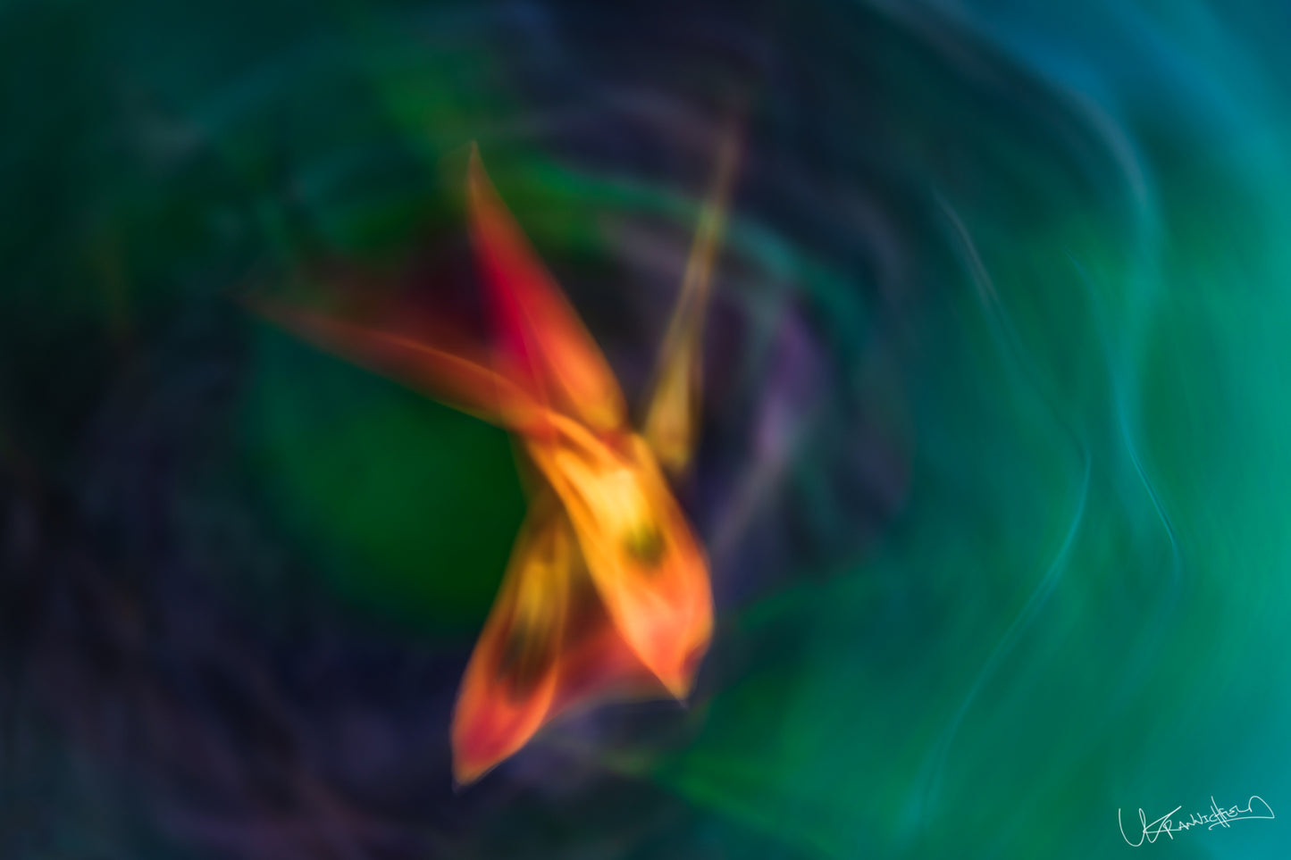 Abstract artwork of a flower with vibrant colors on a swirling background