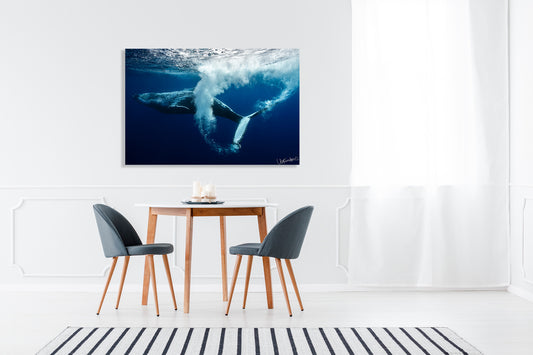Dining room with a whale photograph on the wall