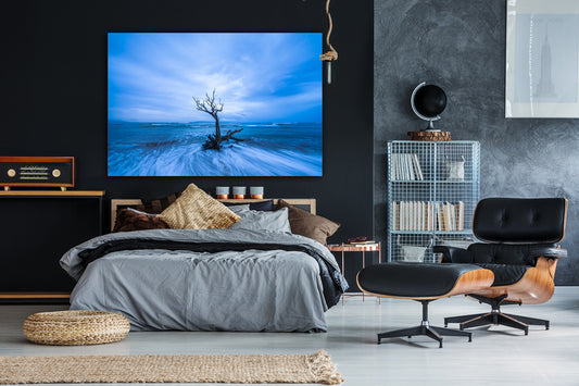 Calm Before the Storm