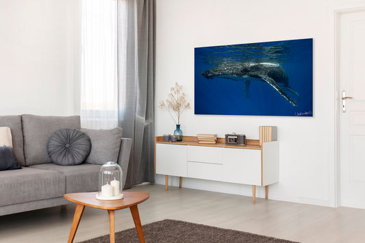 Living room with a large photo displaying an underwater scene, a gray sofa, and a wooden coffee table.