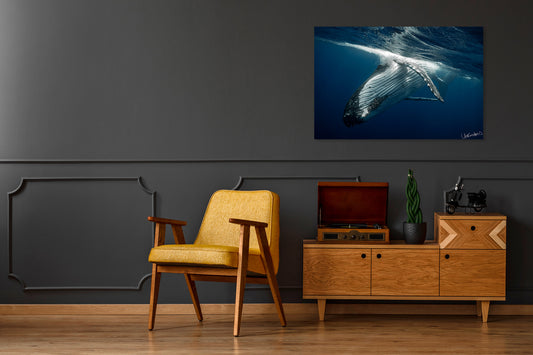Living room with a yellow armchair, wooden cabinet, and whale photo on the wall.