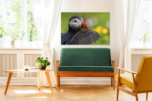Living room with a green sofa, yellow chair, and a large framed picture of a puffin on the wall.