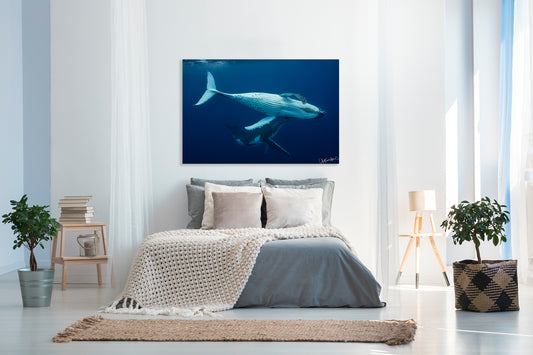 Bedroom with a large whale photograph wall decor