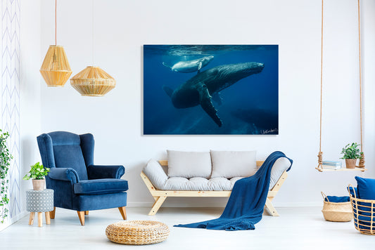 Living room with a mom and calf humpback whale photograph on the wall
