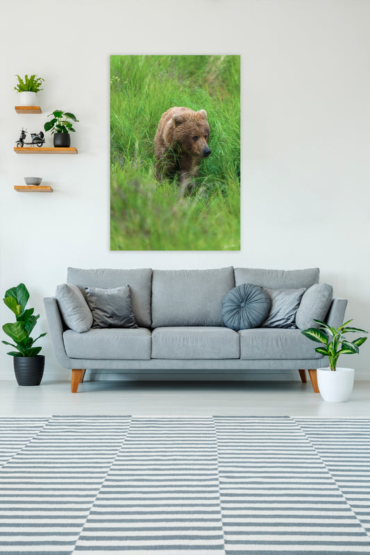 Living room with a gray sofa, plants, and a wall art of a bear in nature.