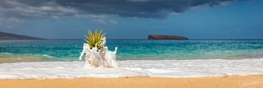 Pineapple on a beach with turquoise water and a rocky island in the background
