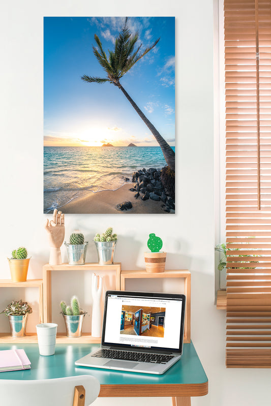 Na Mokulea and the Palm