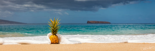 Pineapple on a sandy beach with ocean and sky in the background