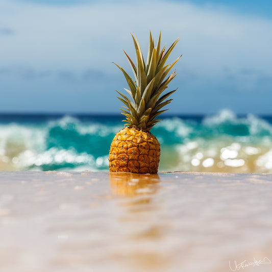Pineapple in shallow water with ocean waves in the background