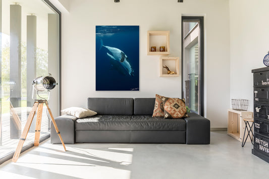 Modern living room with a gray sofa, decorative pillows, and a whale photograph on the wall.