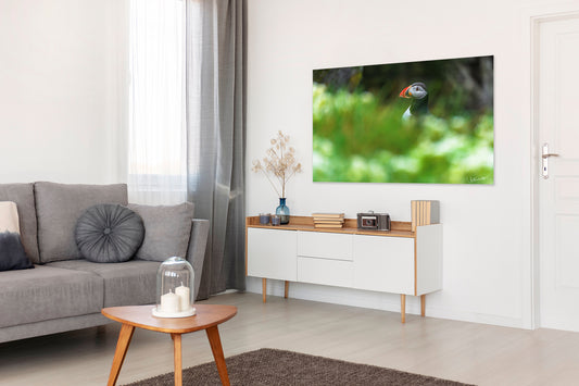 Living room with a large photo depicting a puffin in Iceland, gray sofa, wooden coffee table, and white sideboard.