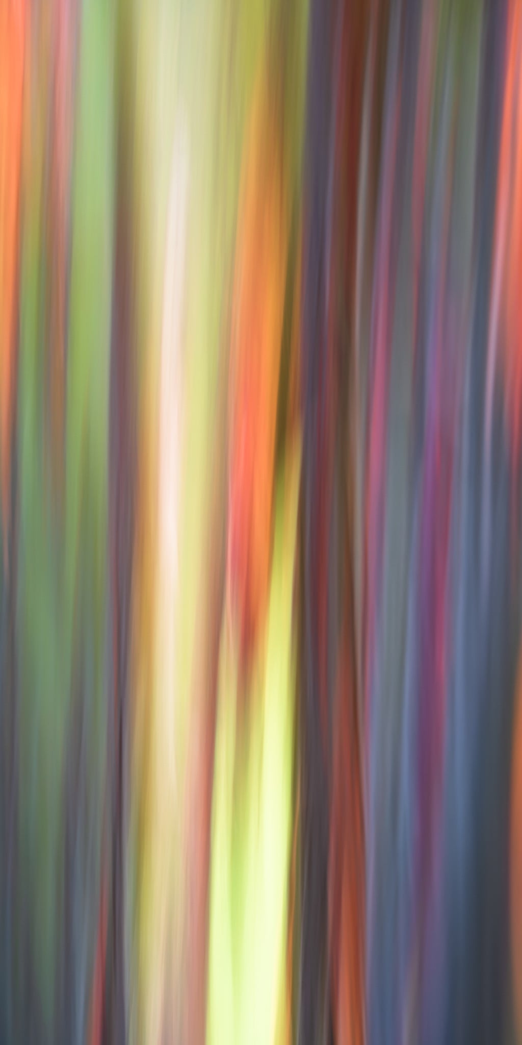 Abstract pattern of multicolored vertical stripes