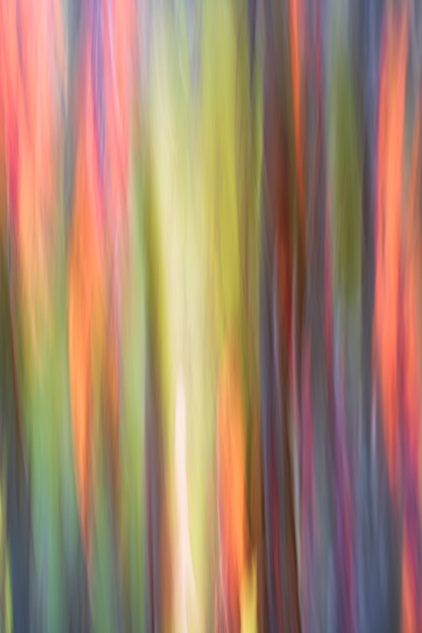 Abstract multicolored vertical stripes