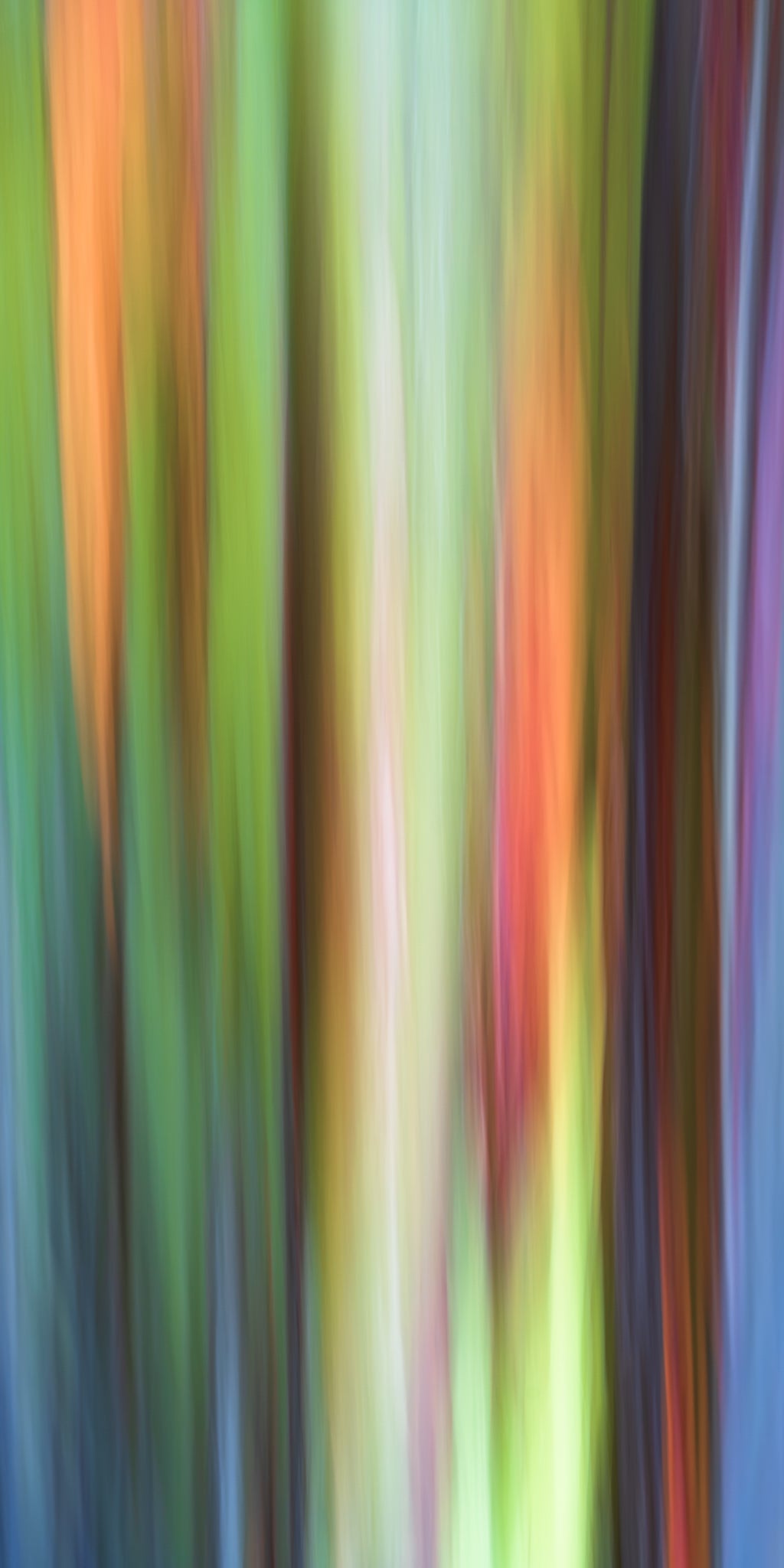 Abstract multicolored vertical stripes