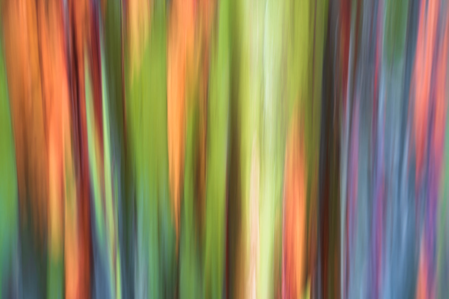 Abstract colorful blurred vertical stripes