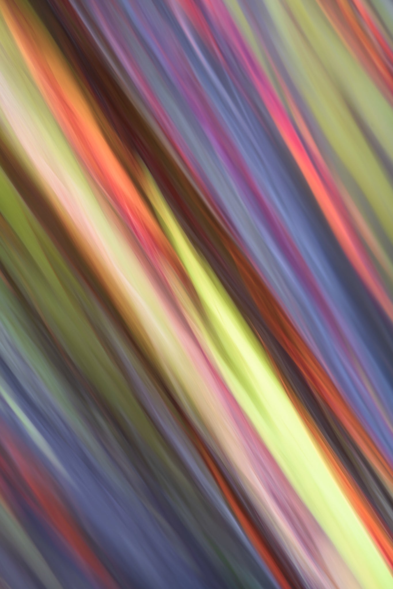 Abstract multicolored pattern with blurred motion effect