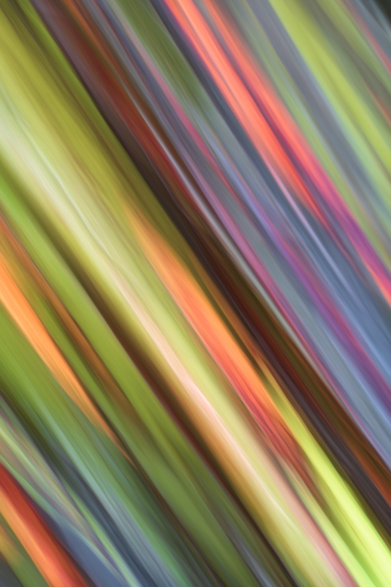 Abstract multicolored pattern with diagonal stripes