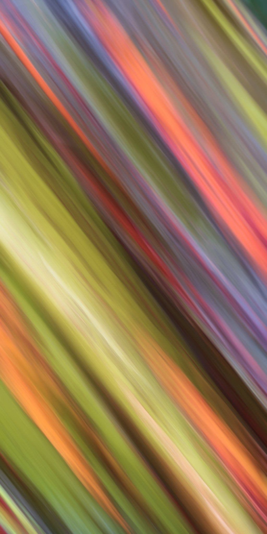 Abstract multicolored pattern with a gradient effect