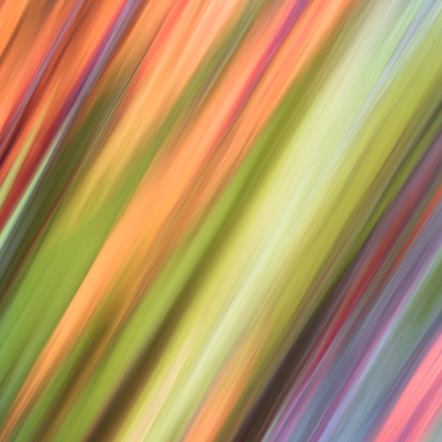 Abstract colorful background with blurred streaks of color