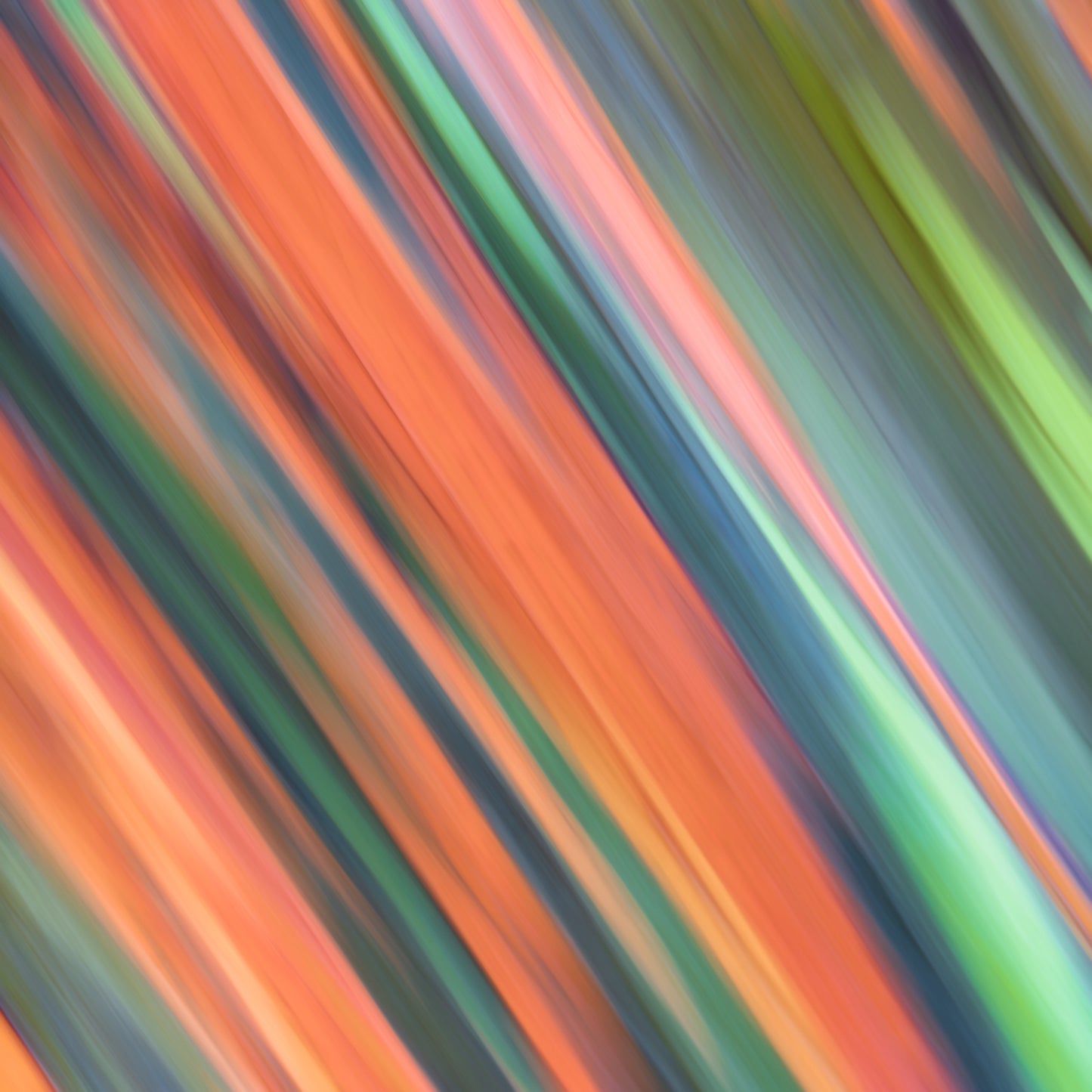 Abstract multicolored striped pattern