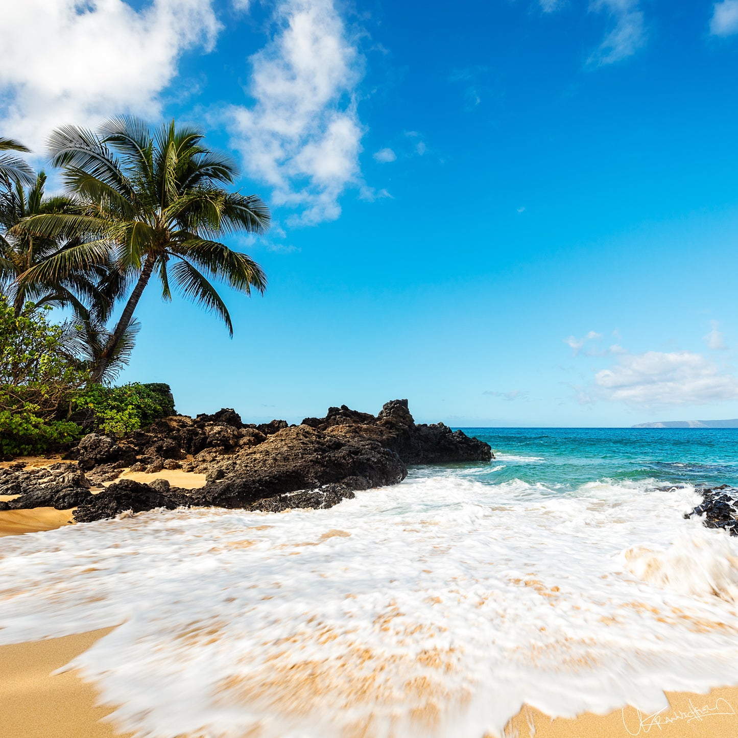 Beach scene with palm trees, rocky outcrop, and blue sky.