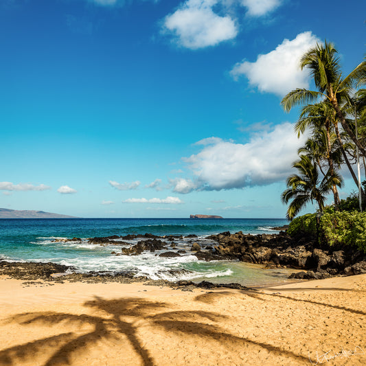 Beach scene with palm trees, ocean, and clear blue sky