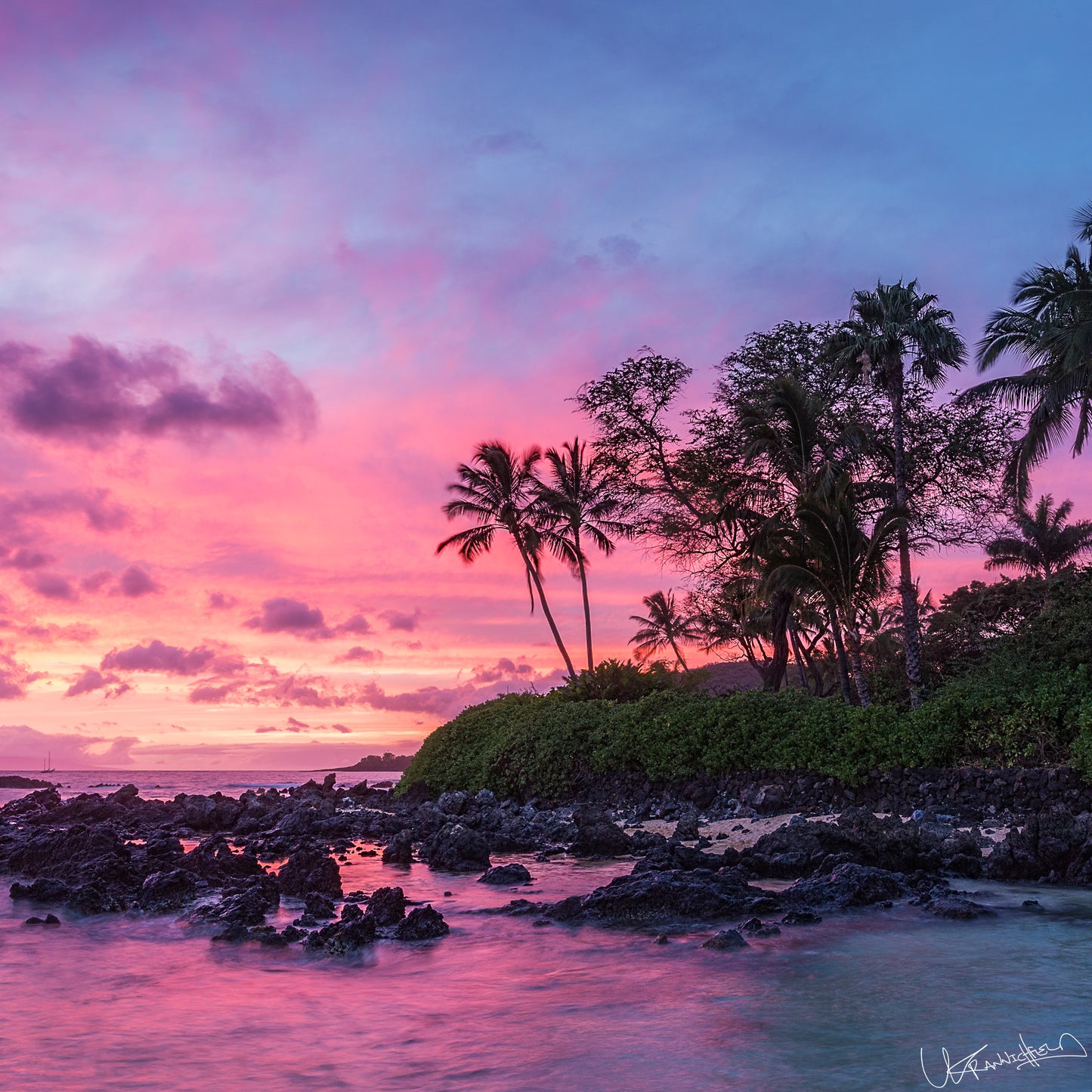 Tropical sunset with palm trees and rocky shore