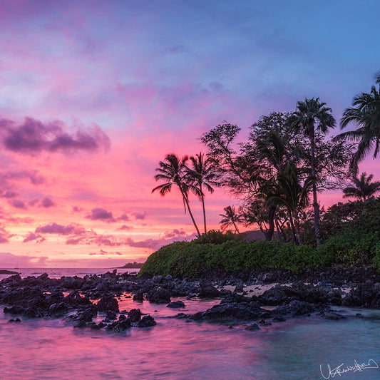 Tropical sunset with palm trees and rocky shore