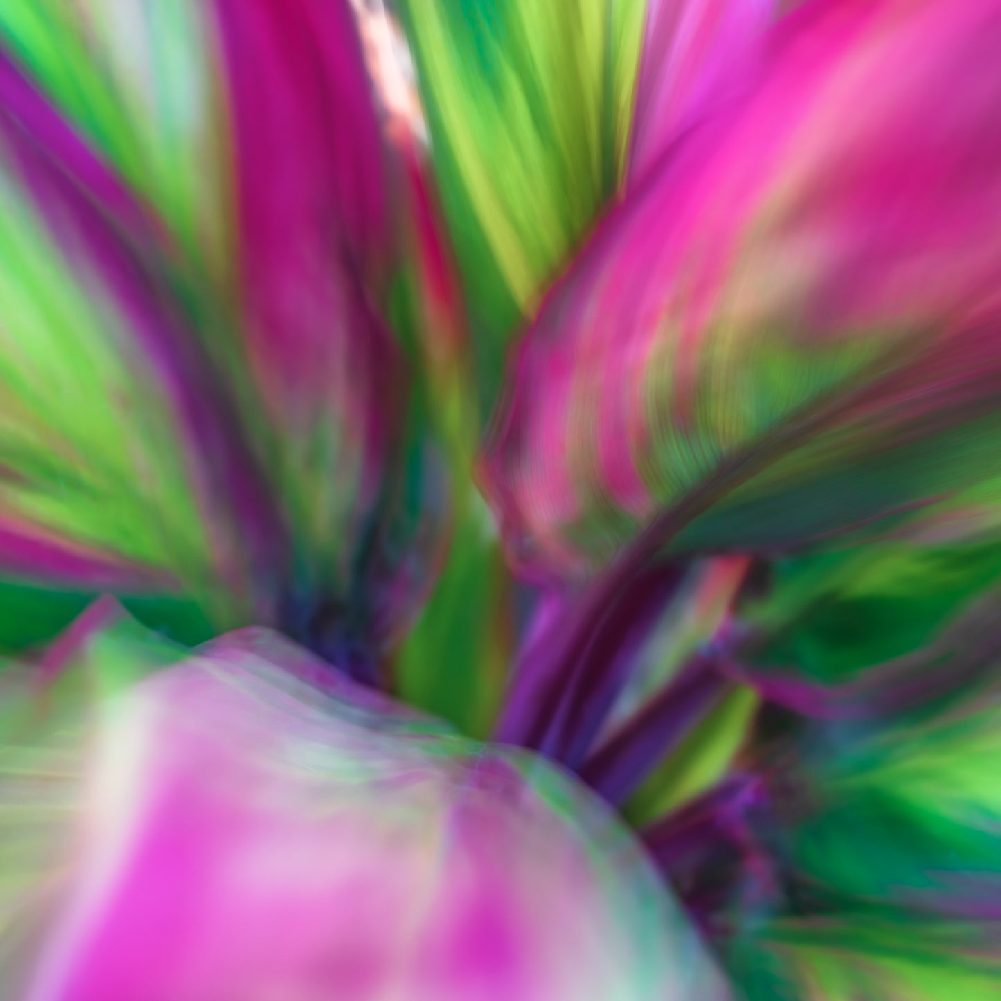 Abstract multicolored swirl pattern