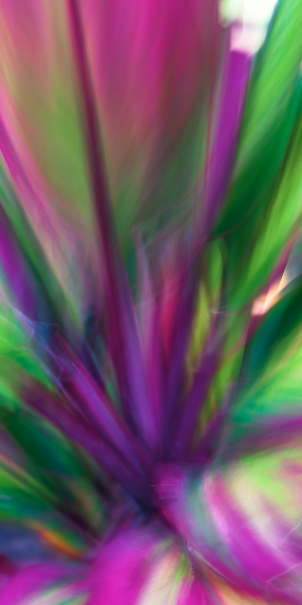 Multicolored abstract pattern with vibrant shades of pink, green, and purple.