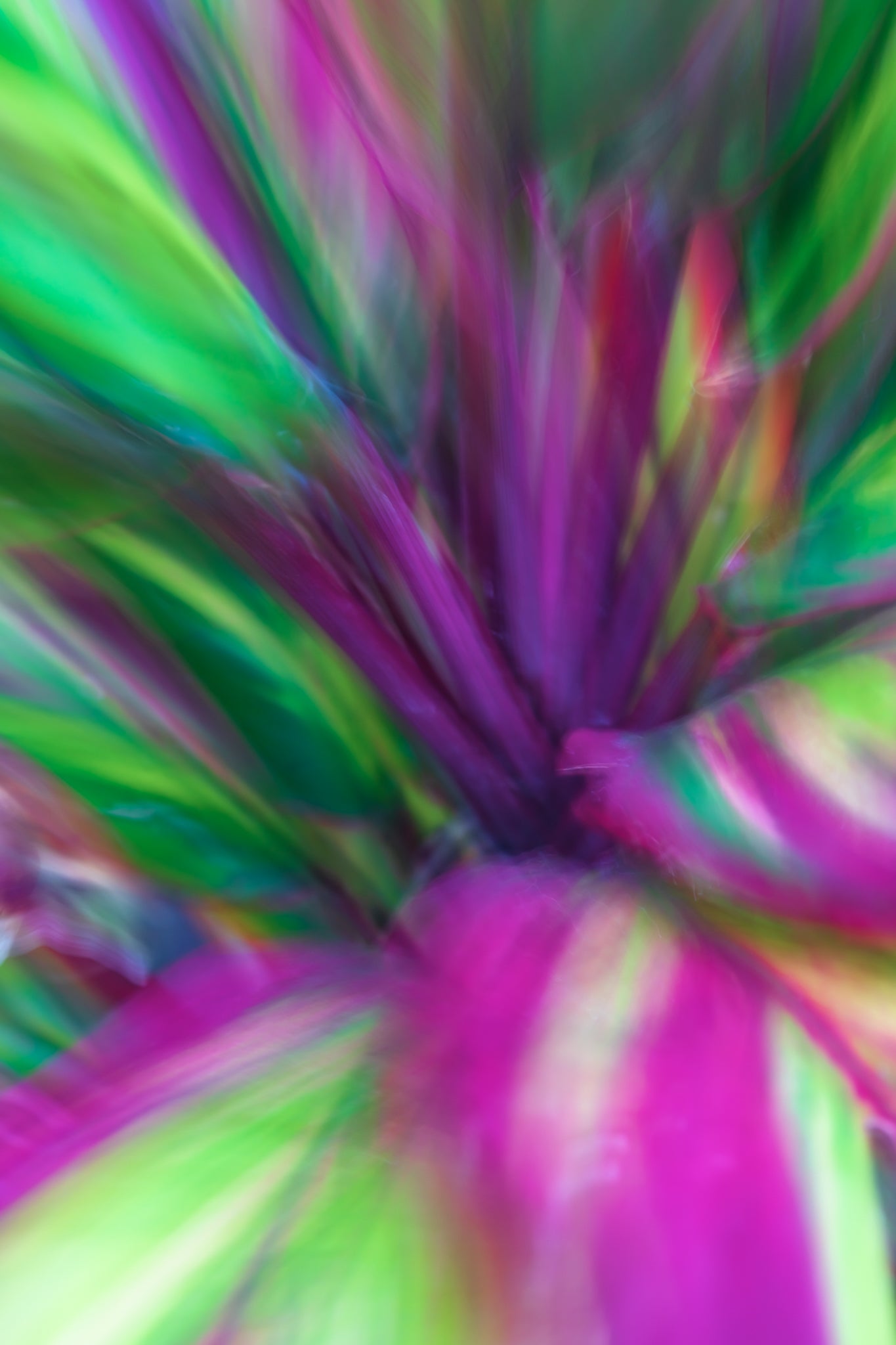 Abstract multicolored plant with vibrant green, purple, and pink hues.