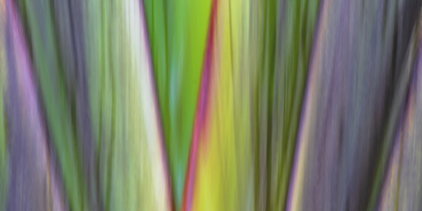 Abstract multicolored pattern with shades of green, purple, and yellow.