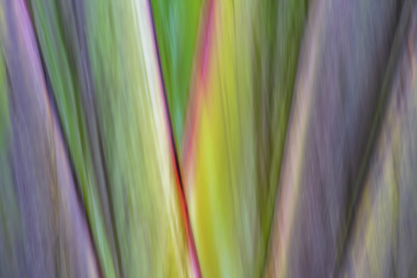 Abstract multicolored pattern with shades of green, yellow, and purple.