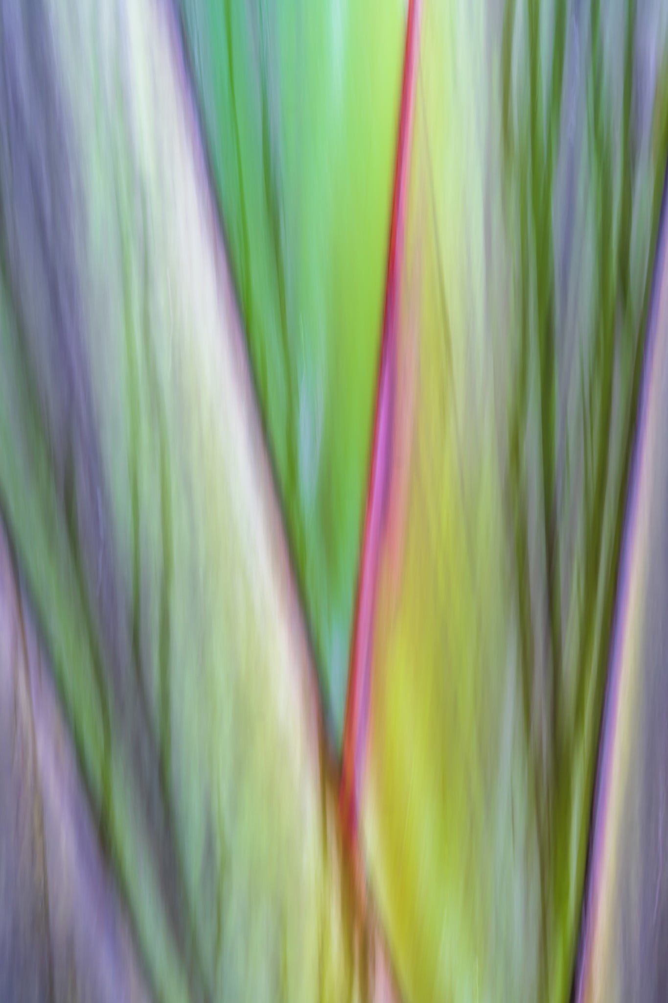 Abstract multicolored pattern with shades of green, purple, and red.