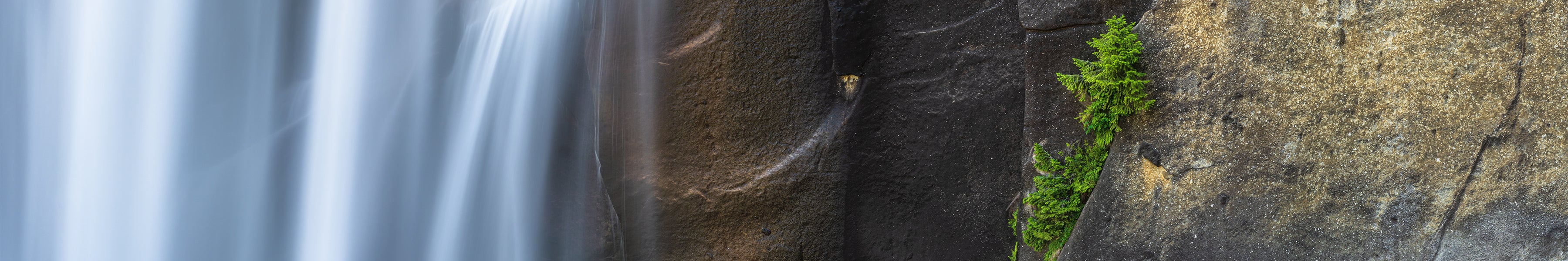 Close-up of a waterfall cascading over rocks with a small green plant.