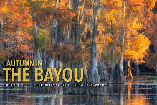 Beauty of the Bayou: November 2025 trip 1  **SOLD OUT**