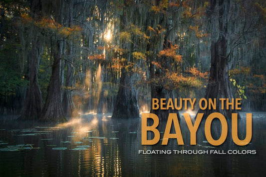 Beauty of the Bayou: November 2025 trip 2 **SOLD OUT**