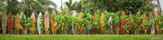 Board Wall