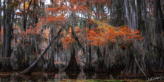 Misty forest scene with orange autumn foliage and water in the foreground