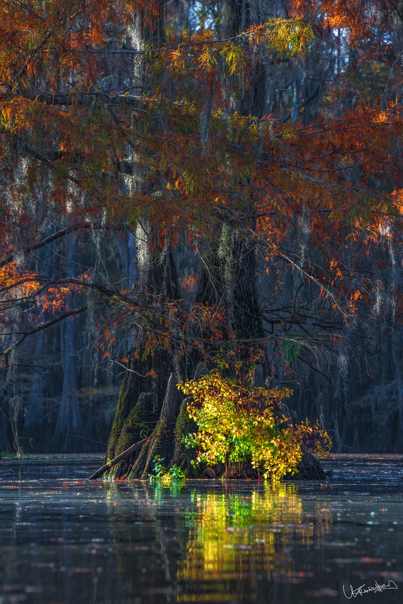 Autumnal scene with trees reflected in water, colorful foliage