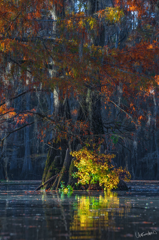 Autumnal scene with trees reflected in water, colorful foliage