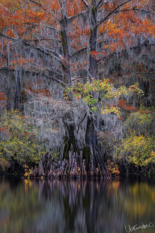 Fall Reflections