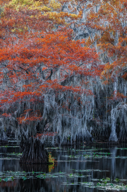 The Gradients of Fall